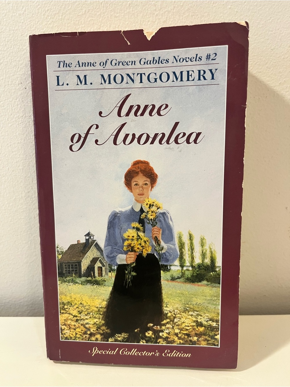 1996 Anne of Avonlea Paperback by L.M. Montgomery